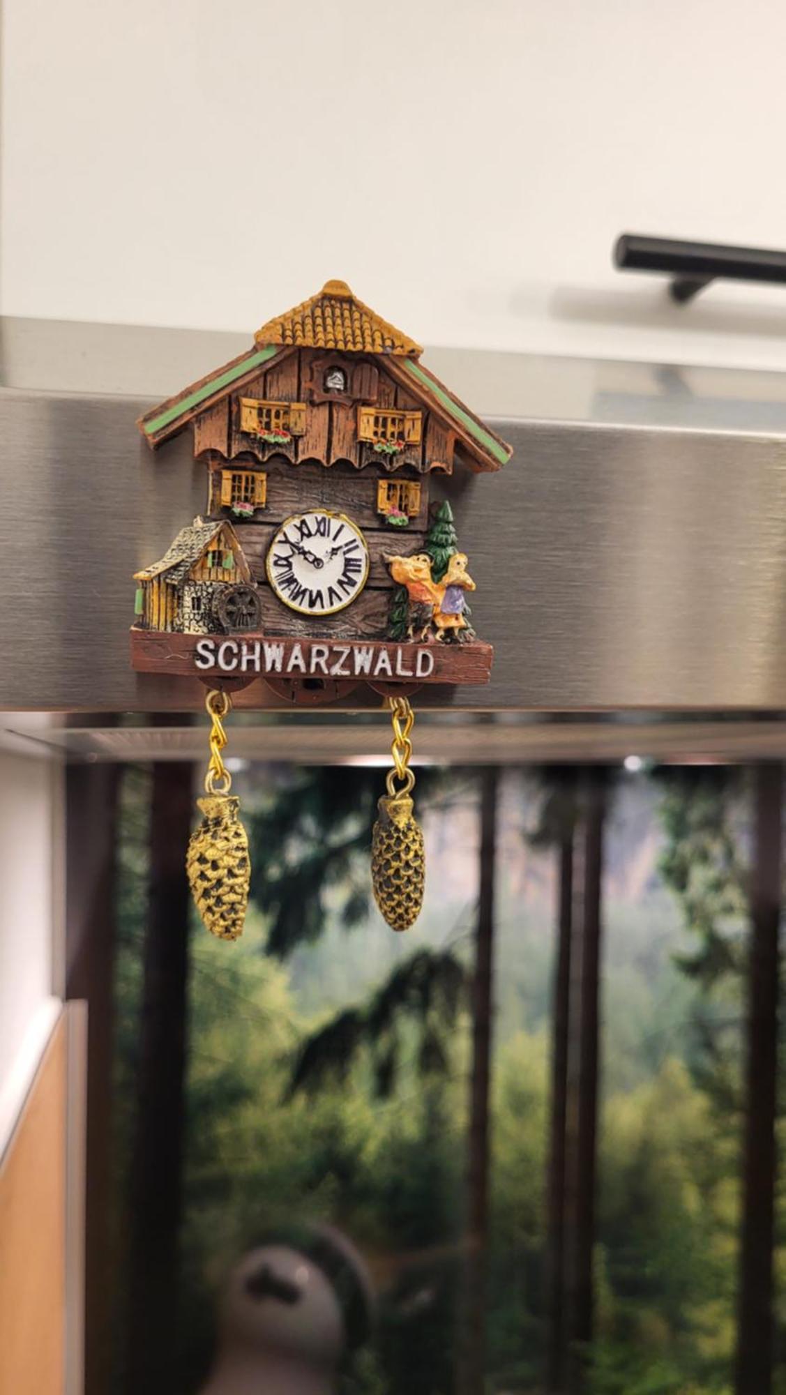 Fewo Gretel Schoenwald المظهر الخارجي الصورة